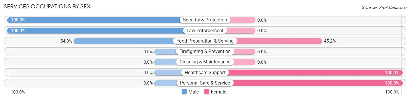 Services Occupations by Sex in Zip Code 13042