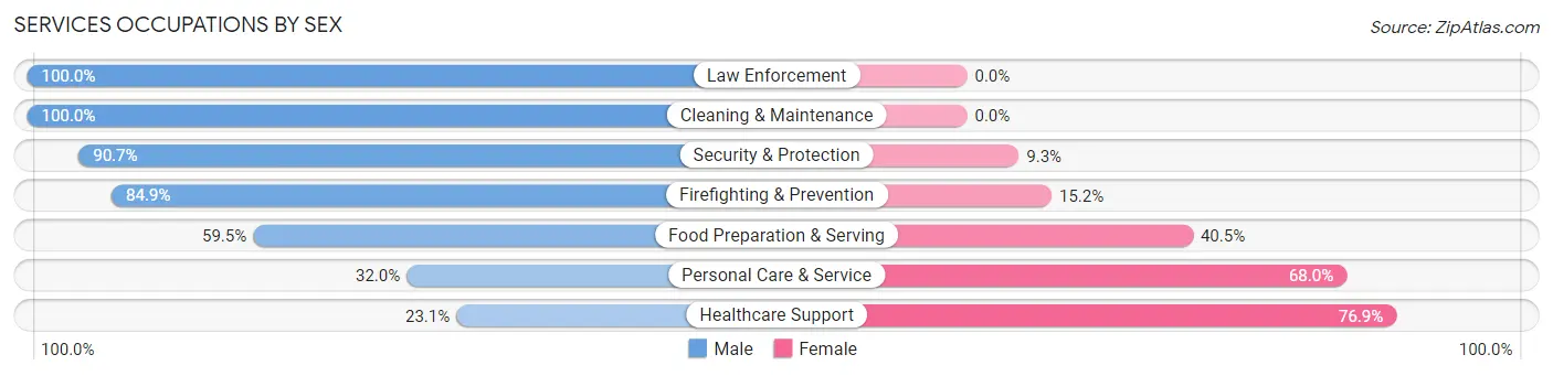 Services Occupations by Sex in Zip Code 13053