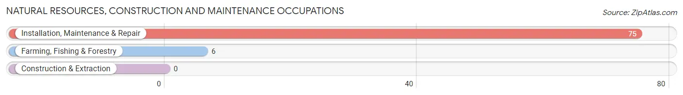 Natural Resources, Construction and Maintenance Occupations in Zip Code 13054