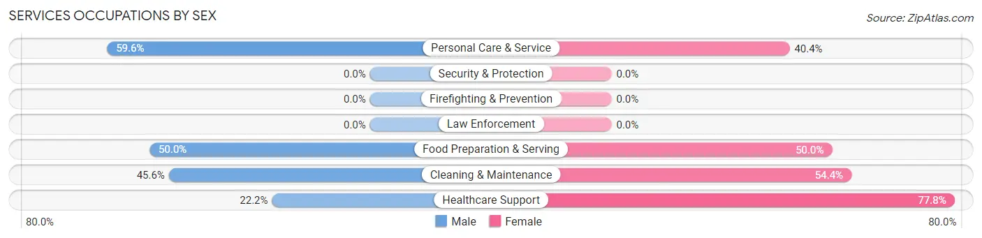 Services Occupations by Sex in Zip Code 13060