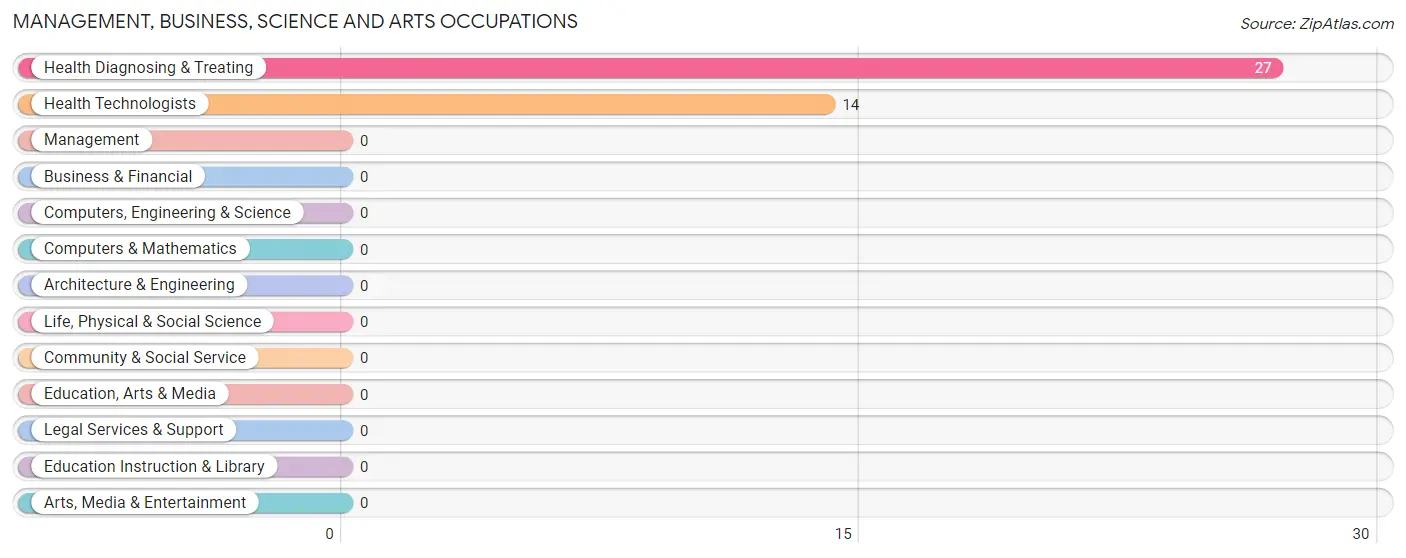 Management, Business, Science and Arts Occupations in Zip Code 13062