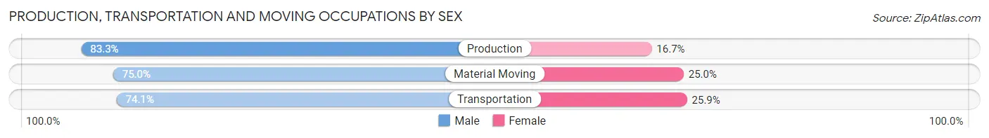 Production, Transportation and Moving Occupations by Sex in Zip Code 13066