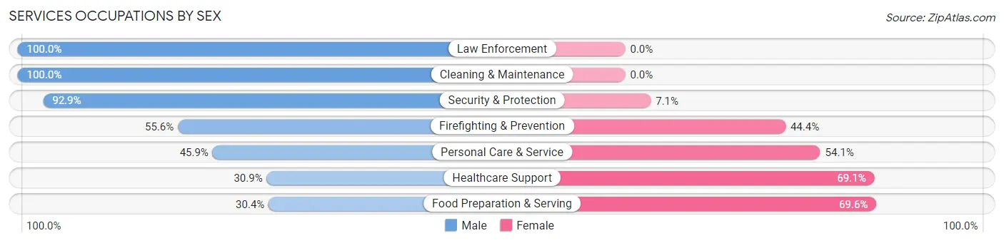 Services Occupations by Sex in Zip Code 13066