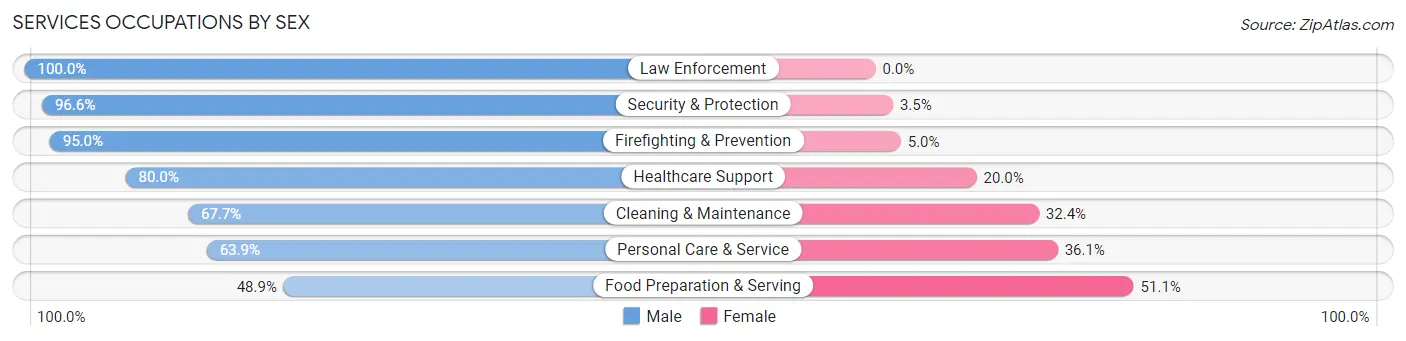 Services Occupations by Sex in Zip Code 13068