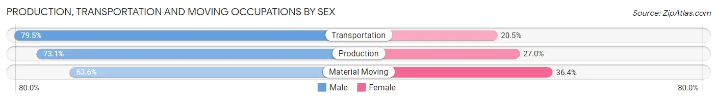 Production, Transportation and Moving Occupations by Sex in Zip Code 13069