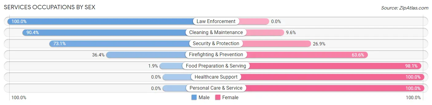 Services Occupations by Sex in Zip Code 13077