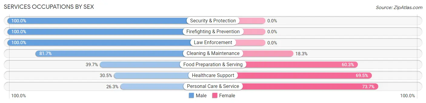 Services Occupations by Sex in Zip Code 13078