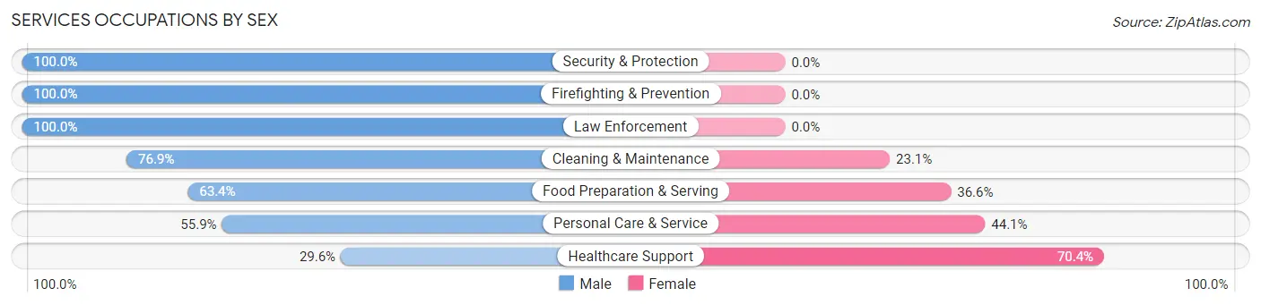 Services Occupations by Sex in Zip Code 13080