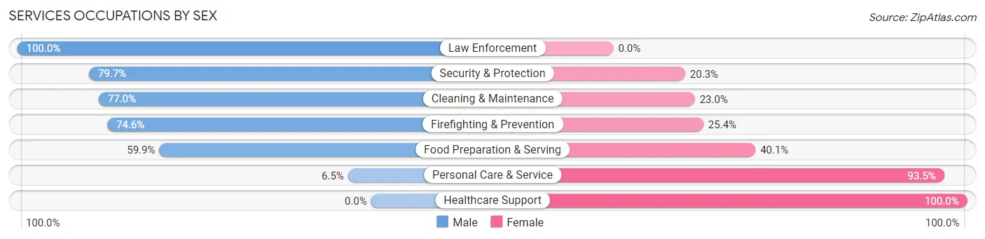 Services Occupations by Sex in Zip Code 13082