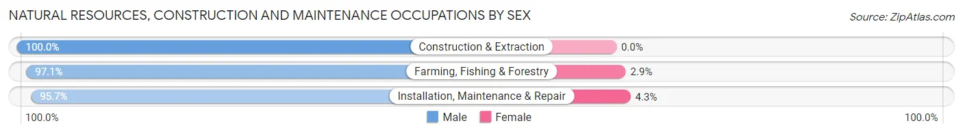 Natural Resources, Construction and Maintenance Occupations by Sex in Zip Code 13092