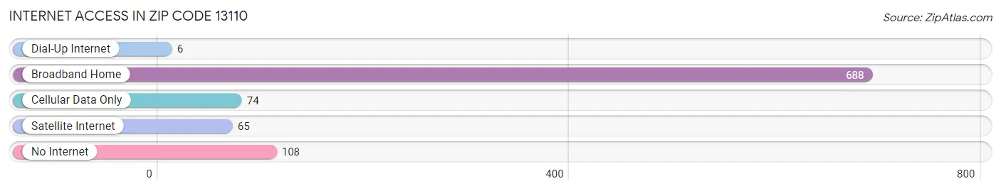 Internet Access in Zip Code 13110