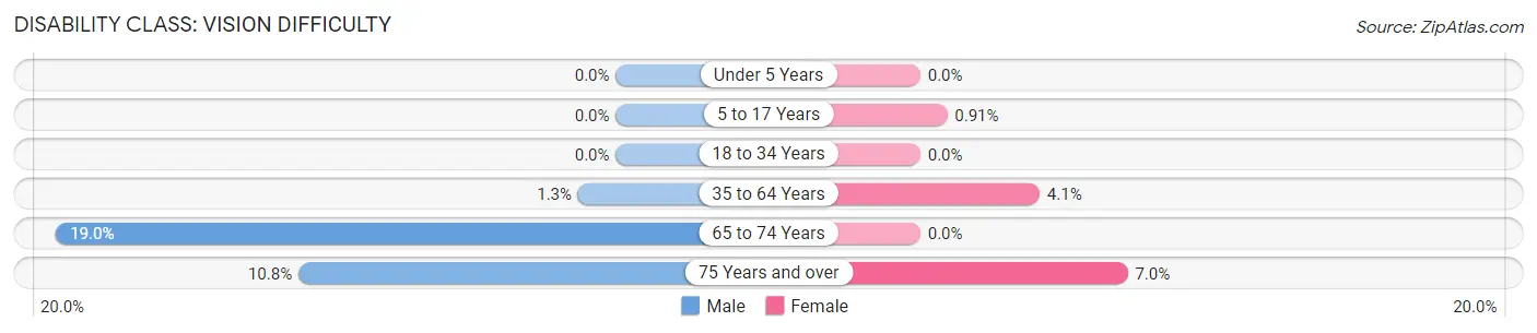 Disability in Zip Code 13131: <span>Vision Difficulty</span>