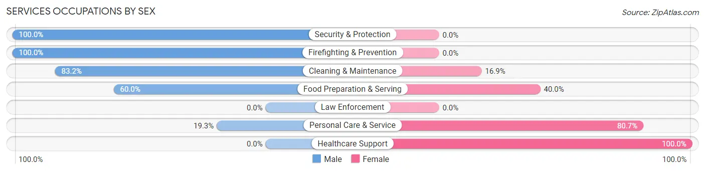 Services Occupations by Sex in Zip Code 13132