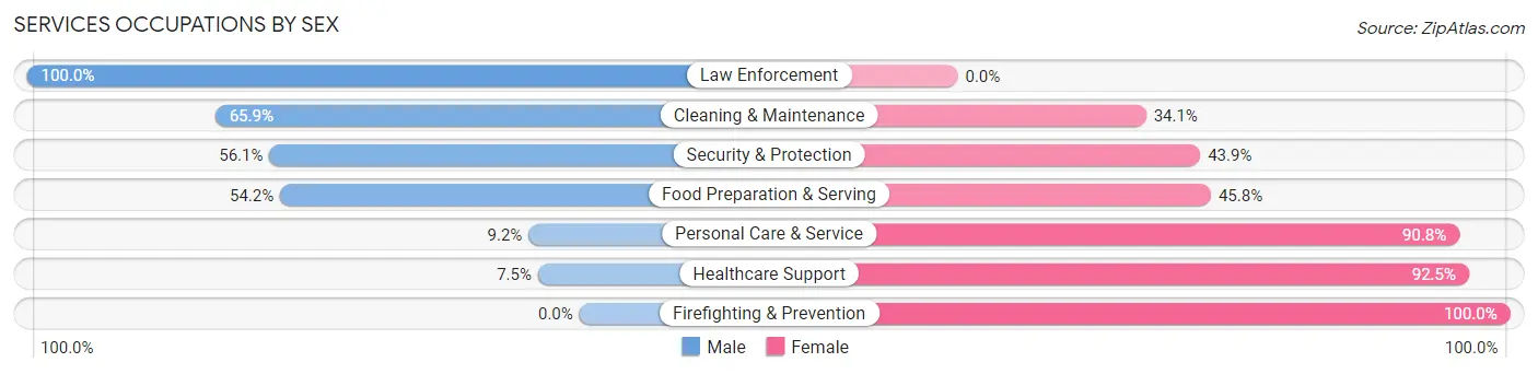 Services Occupations by Sex in Zip Code 13135