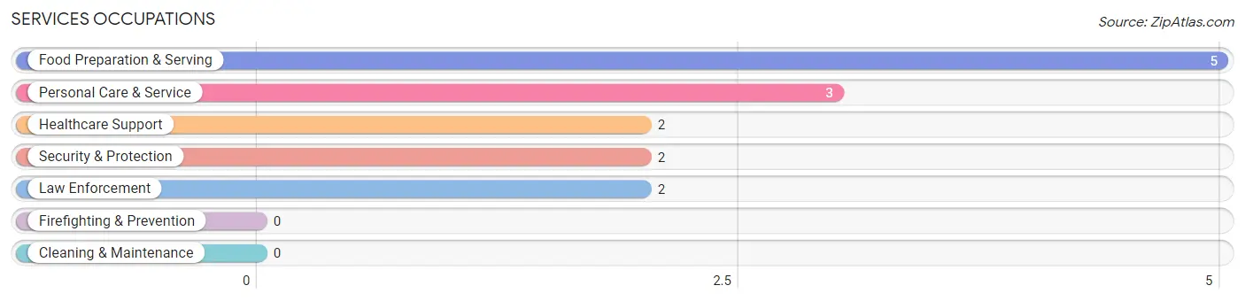 Services Occupations in Zip Code 13136