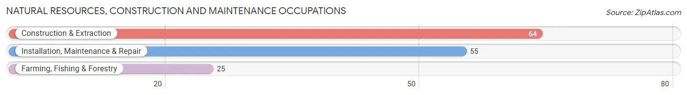 Natural Resources, Construction and Maintenance Occupations in Zip Code 13143