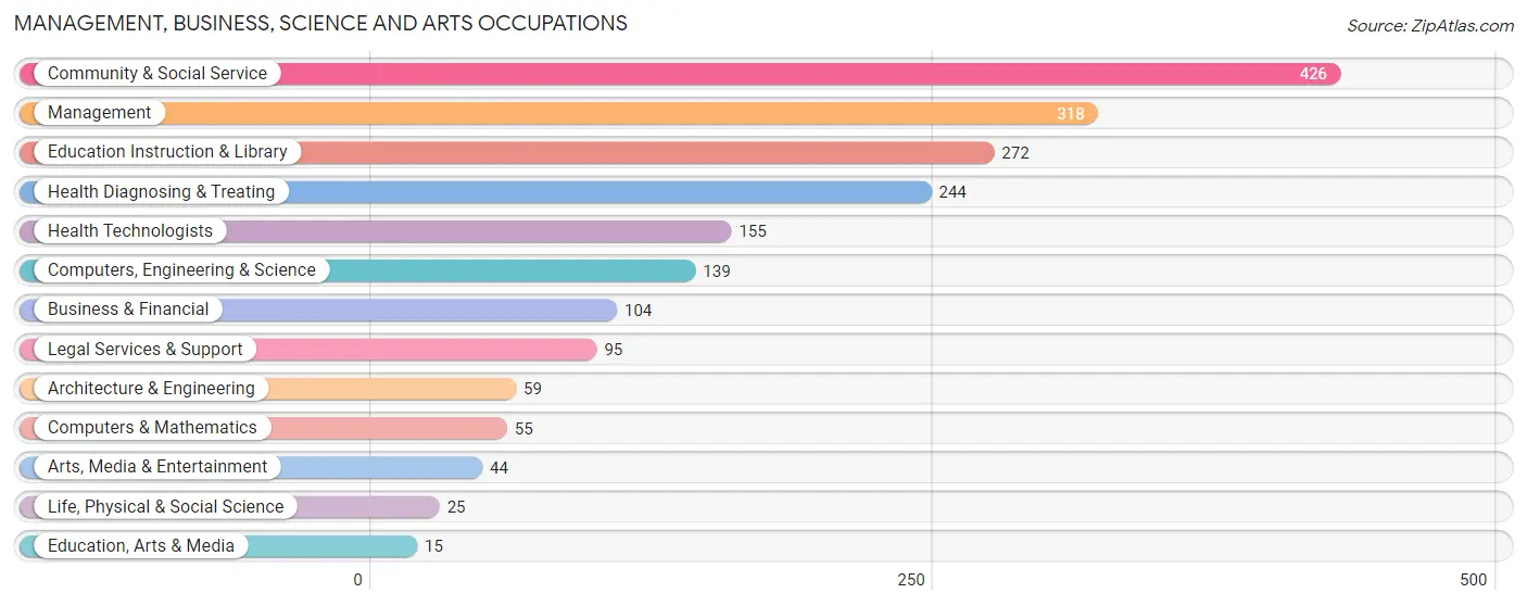 Management, Business, Science and Arts Occupations in Zip Code 13159