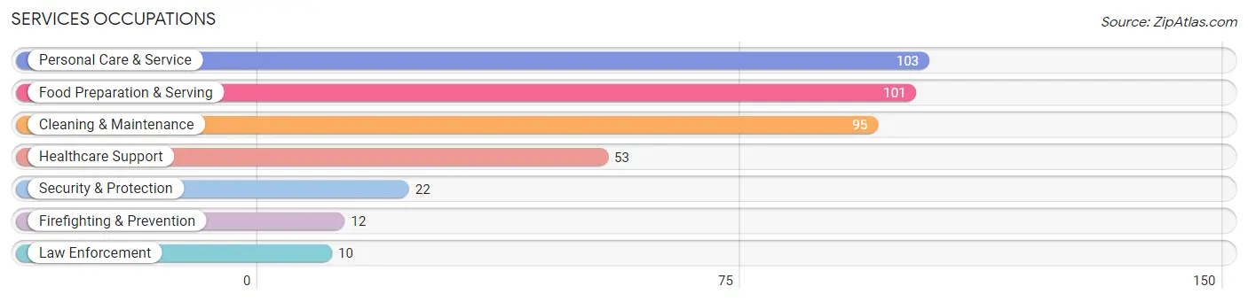 Services Occupations in Zip Code 13159