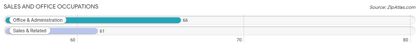 Sales and Office Occupations in Zip Code 13164