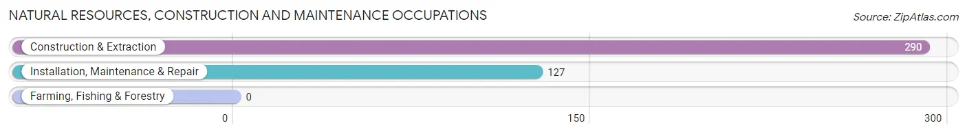 Natural Resources, Construction and Maintenance Occupations in Zip Code 13209