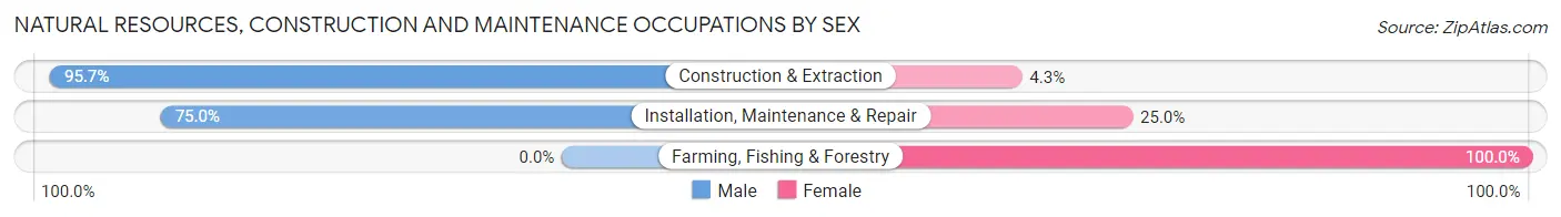 Natural Resources, Construction and Maintenance Occupations by Sex in Zip Code 13210