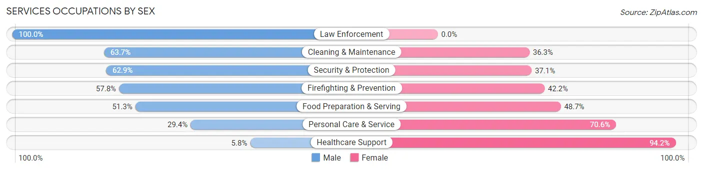 Services Occupations by Sex in Zip Code 13210