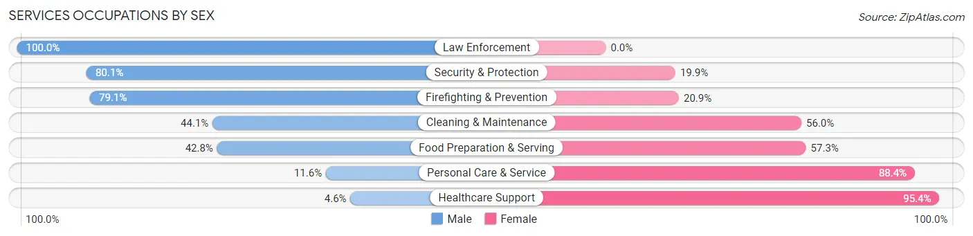 Services Occupations by Sex in Zip Code 13214