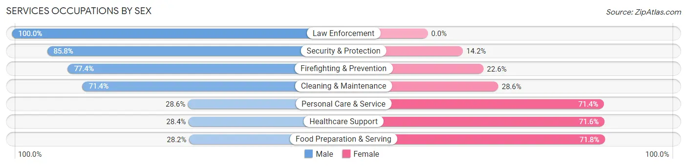 Services Occupations by Sex in Zip Code 13219