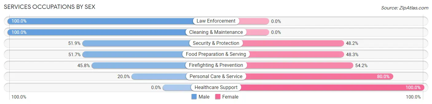 Services Occupations by Sex in Zip Code 13302