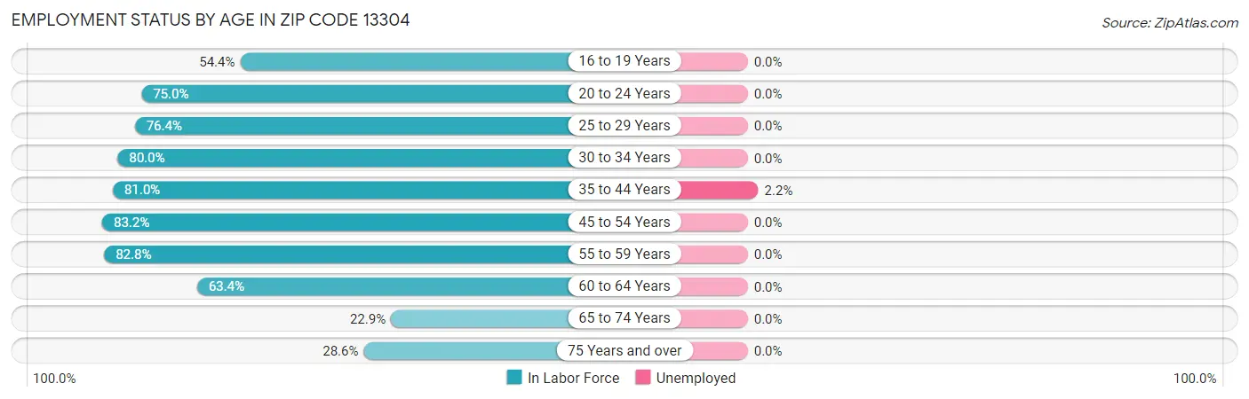 Employment Status by Age in Zip Code 13304