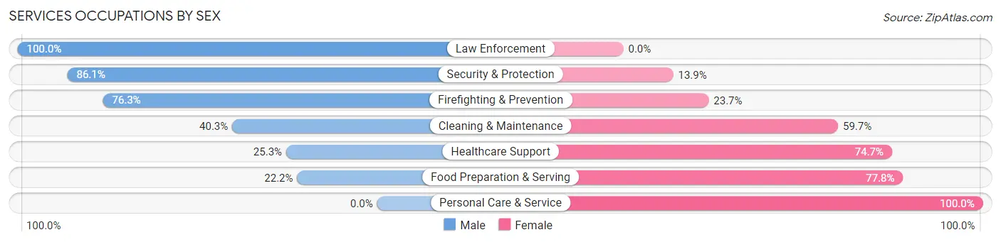 Services Occupations by Sex in Zip Code 13309
