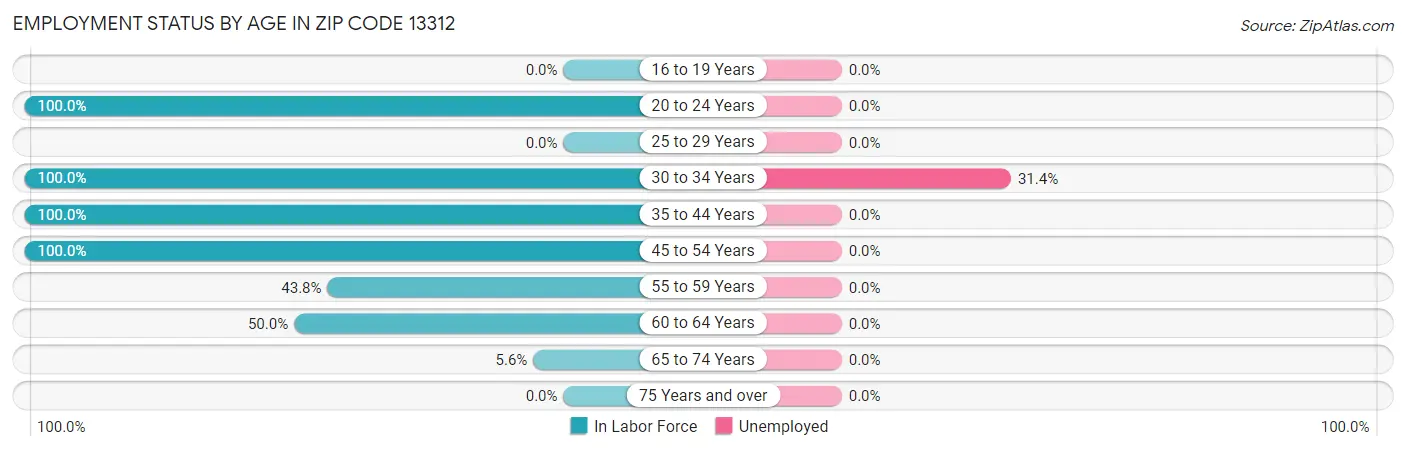 Employment Status by Age in Zip Code 13312