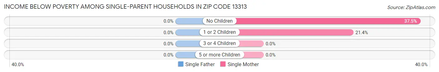 Income Below Poverty Among Single-Parent Households in Zip Code 13313