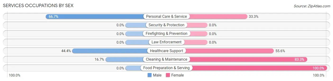 Services Occupations by Sex in Zip Code 13313
