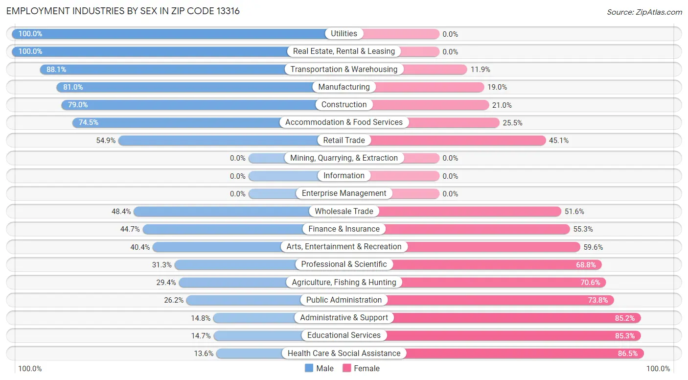 Employment Industries by Sex in Zip Code 13316