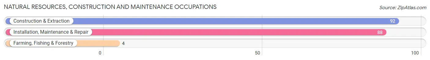 Natural Resources, Construction and Maintenance Occupations in Zip Code 13316