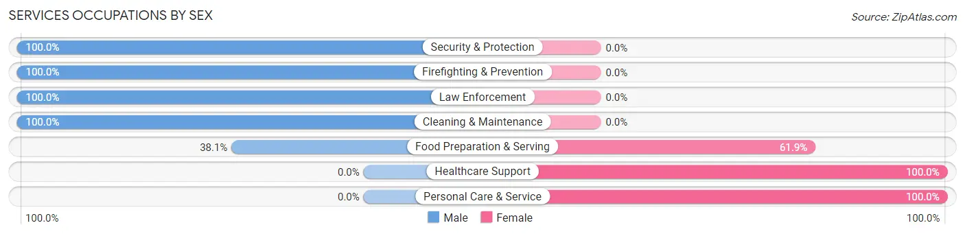 Services Occupations by Sex in Zip Code 13318