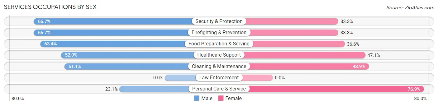 Services Occupations by Sex in Zip Code 13320
