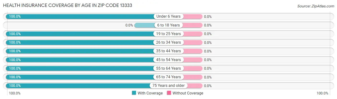 Health Insurance Coverage by Age in Zip Code 13333