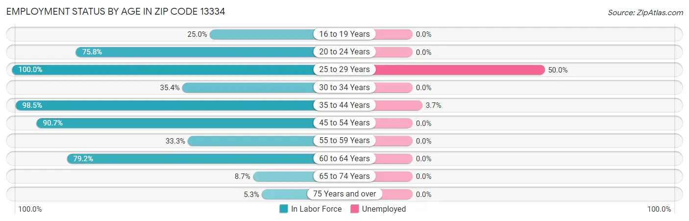 Employment Status by Age in Zip Code 13334