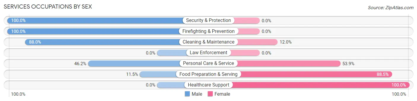 Services Occupations by Sex in Zip Code 13335