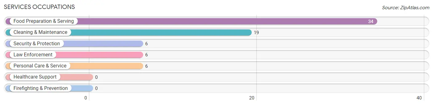 Services Occupations in Zip Code 13355