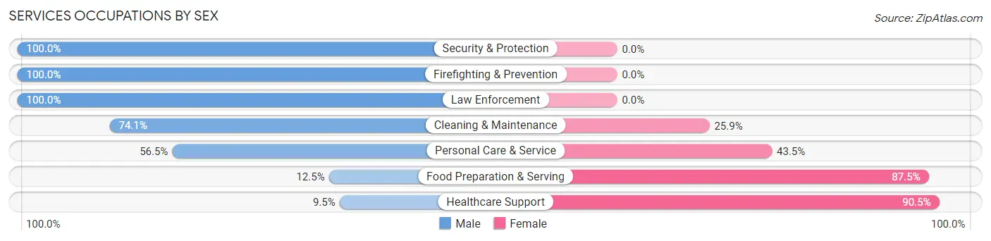 Services Occupations by Sex in Zip Code 13363