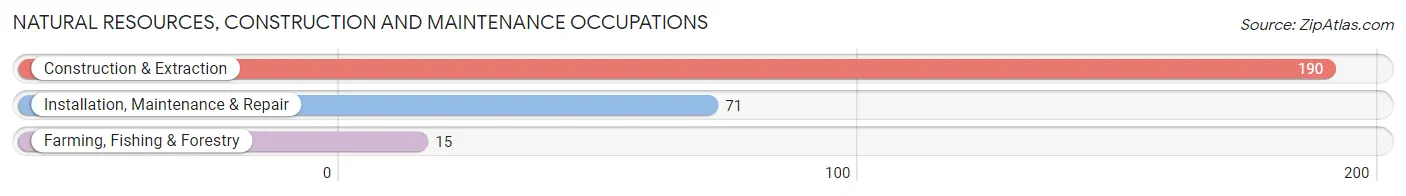 Natural Resources, Construction and Maintenance Occupations in Zip Code 13365