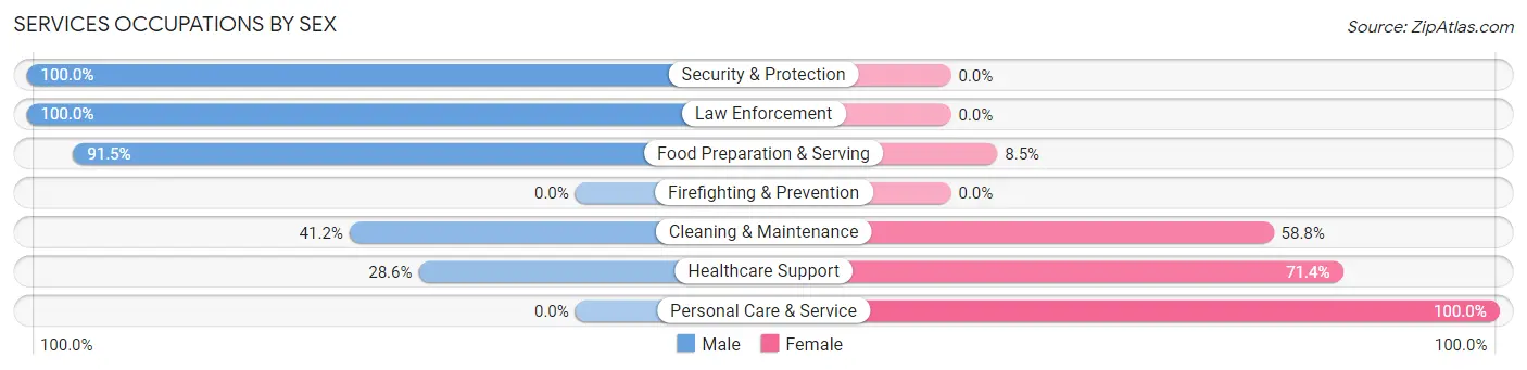 Services Occupations by Sex in Zip Code 13402