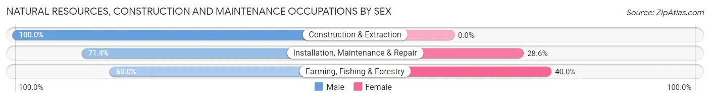 Natural Resources, Construction and Maintenance Occupations by Sex in Zip Code 13407