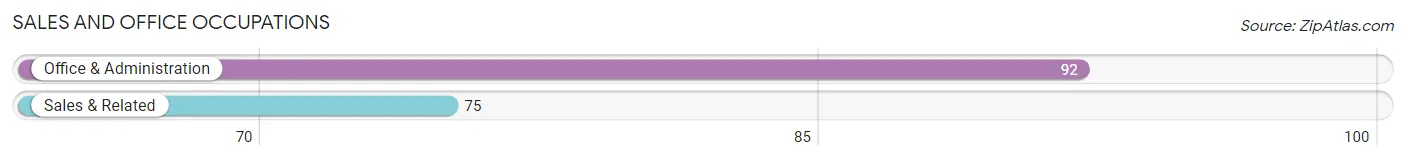 Sales and Office Occupations in Zip Code 13411