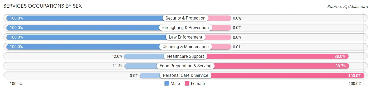 Services Occupations by Sex in Zip Code 13424