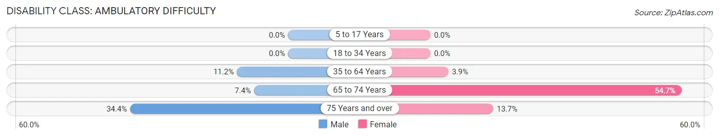 Disability in Zip Code 13428: <span>Ambulatory Difficulty</span>