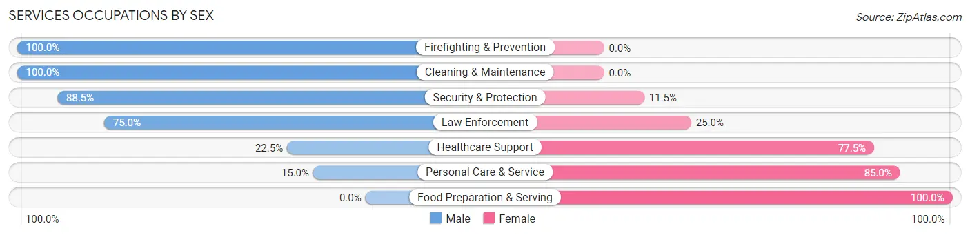 Services Occupations by Sex in Zip Code 13431